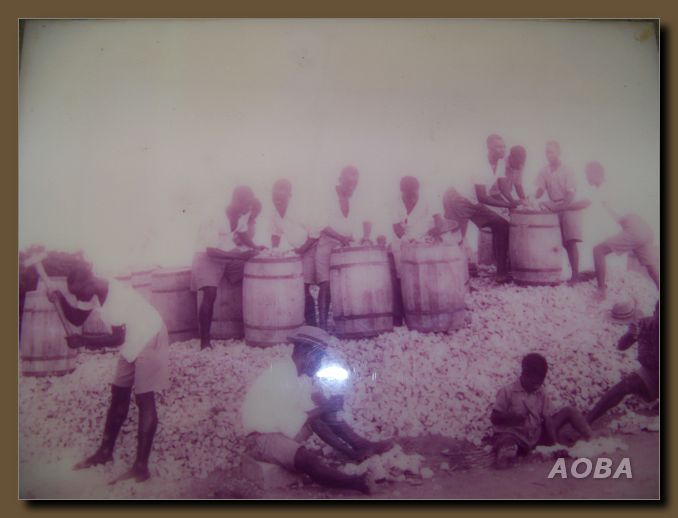 Adisadel History